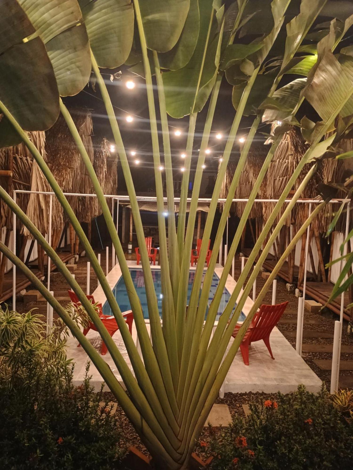 Cabana Beach Palomino Eksteriør bilde